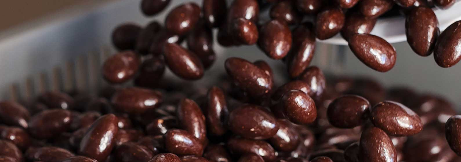 Amandes enrobées de chocolat | Le Roy René